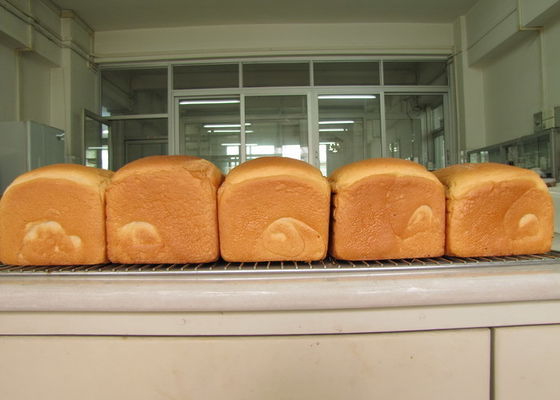 Destylowany monogliceryd E-DH-Z45